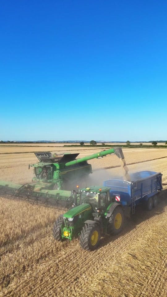 Post 7 by Harry Jarvis on TikTok (video)