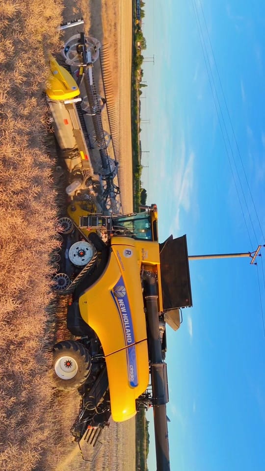 Post 6 by Harry Jarvis on TikTok (video)