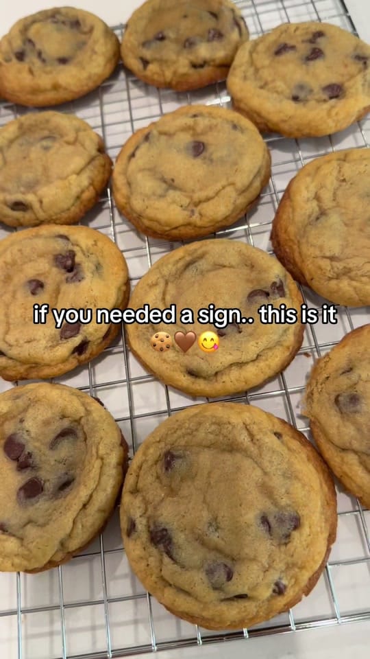 Post 1 by tayler | sahm + sourdough 🤍 on TikTok (video)