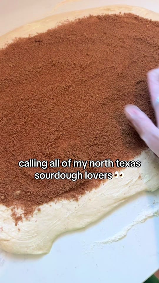 Post 6 by tayler | sahm + sourdough 🤍 on TikTok (video)