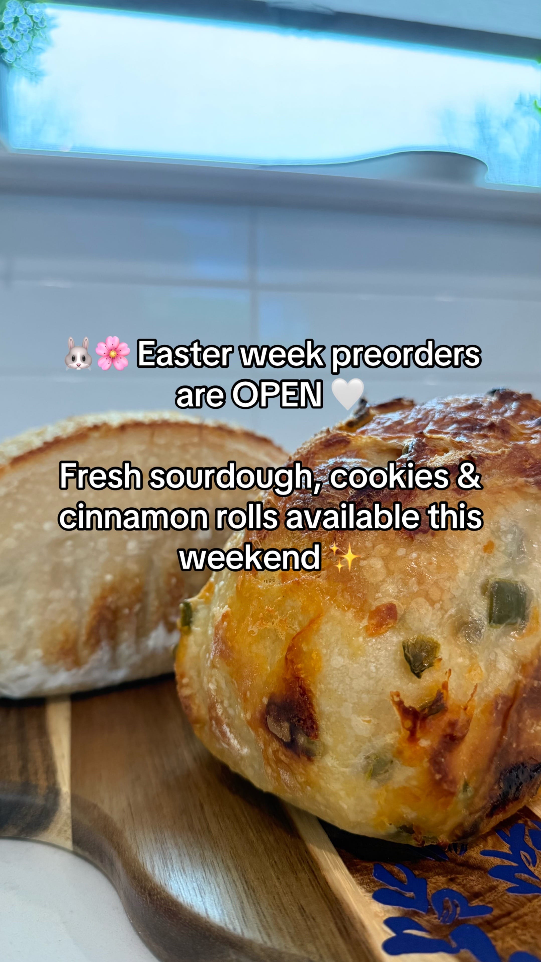 Post 5 by tayler | sahm + sourdough 🤍 on TikTok (video)