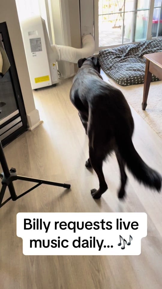 Post 10 by Billy on TikTok (video)