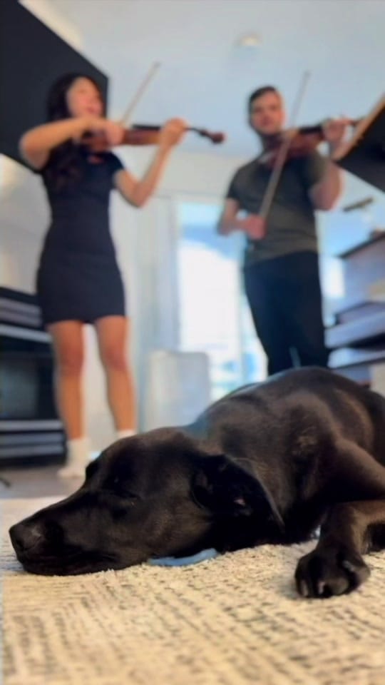 Post 9 by Billy on TikTok (video)
