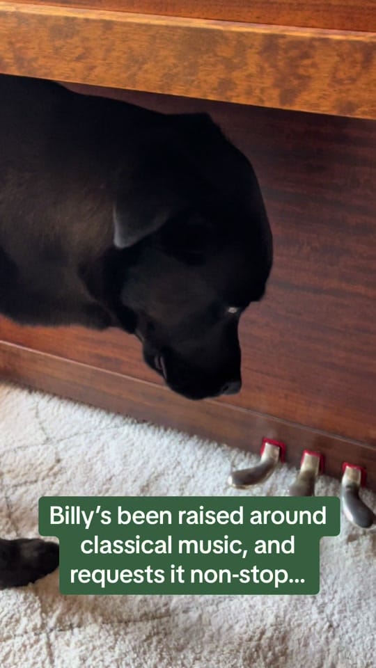 Post 8 by Billy on TikTok (video)
