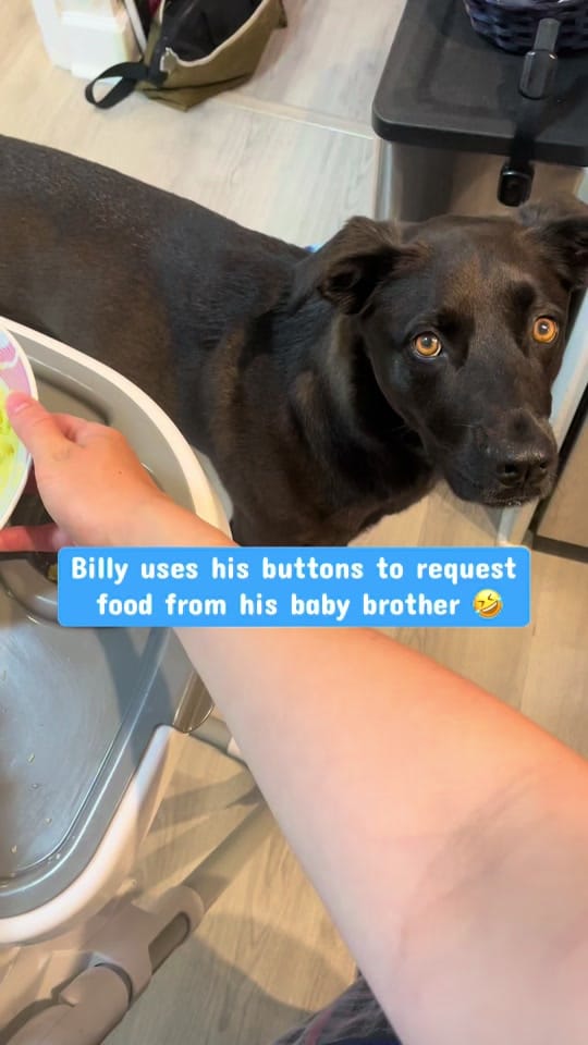 Post 2 by Billy on TikTok (video)