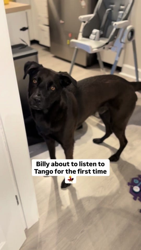 Post 5 by Billy on TikTok (video)