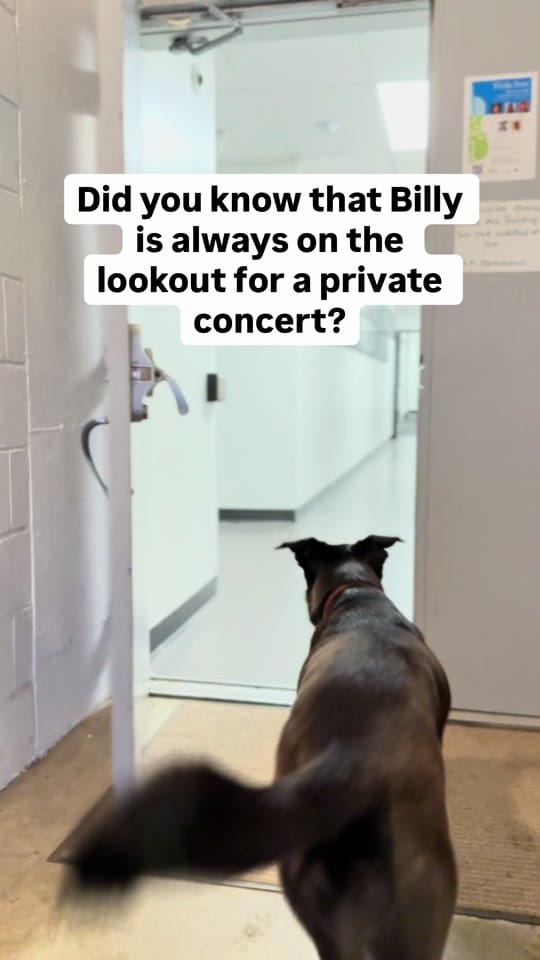 Post 4 by Billy on TikTok (video)