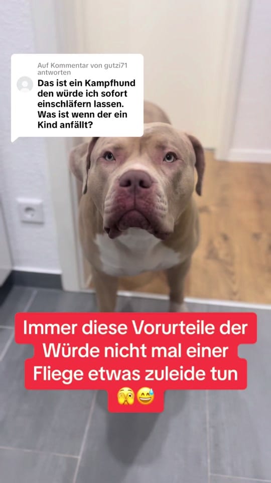 Post 9 by Chapo on TikTok (video)