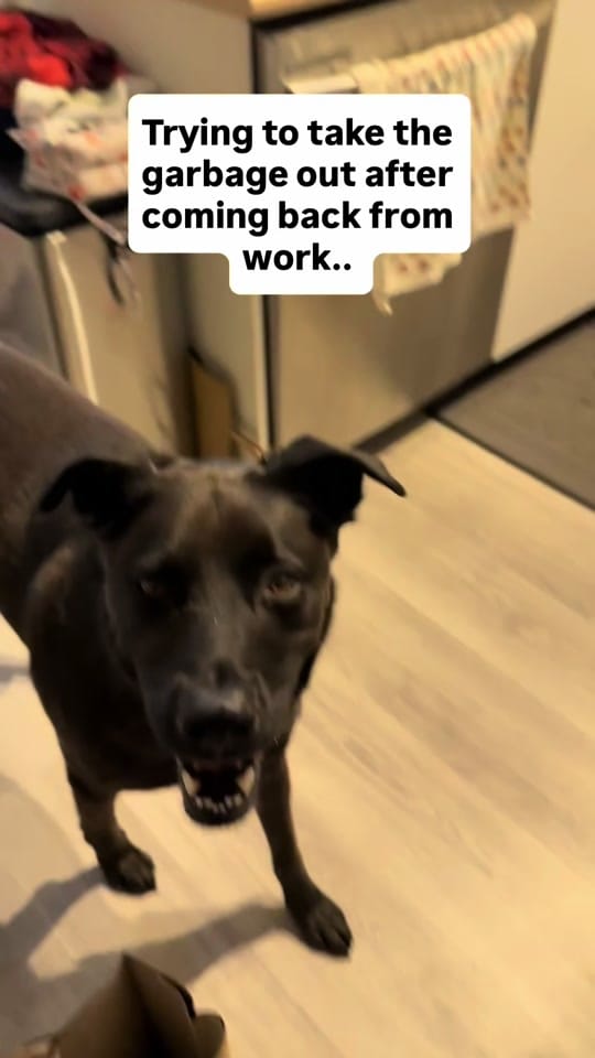 Post 3 by Billy on TikTok (video)