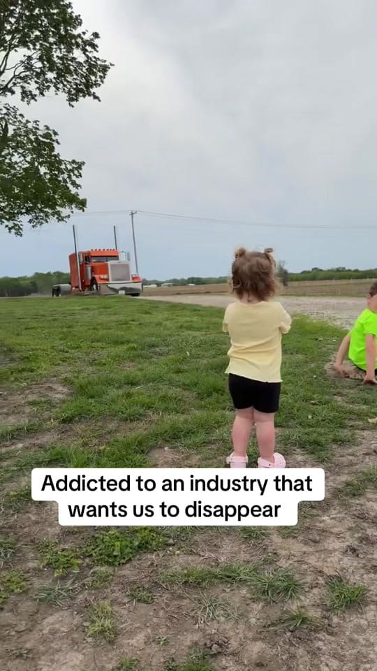 Post 6 by Spencer on TikTok (video)