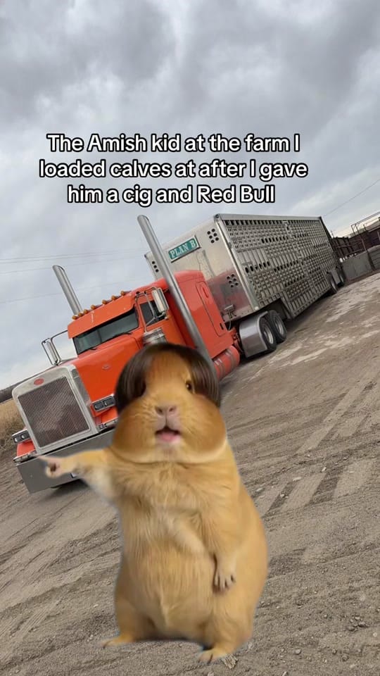 Post 7 by Spencer on TikTok (video)