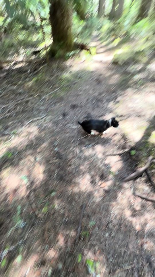 Post 6 by Berkley on TikTok (video)