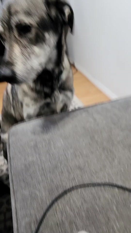 Post 7 by Lady Gothamm on TikTok (video)