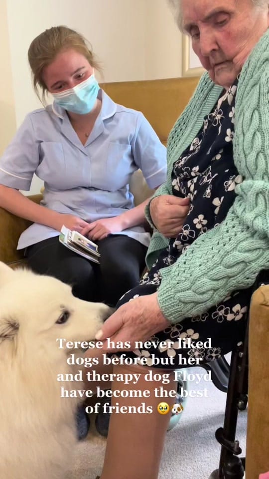 Post 4 by parkviewnursinghome on TikTok (video)