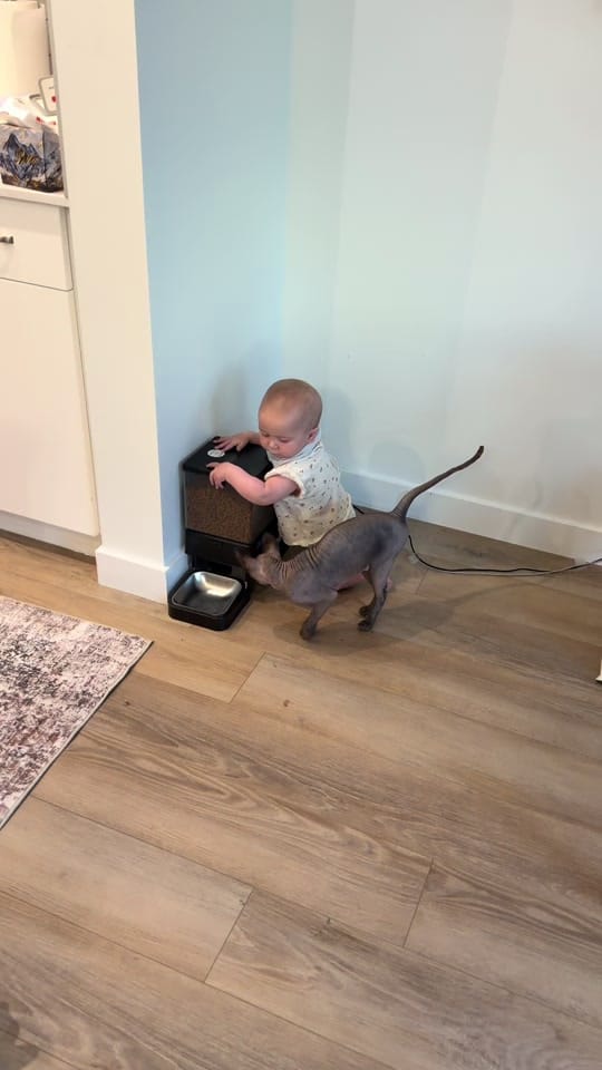 Post 5 by sashamart_blog on TikTok (video)