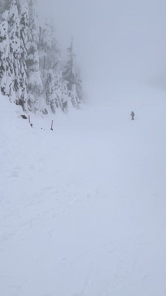 Post 7 by sourceboards on TikTok (video)