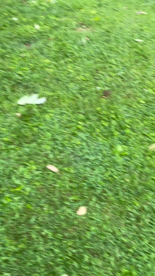 Post 9 by Samantha on TikTok (video)