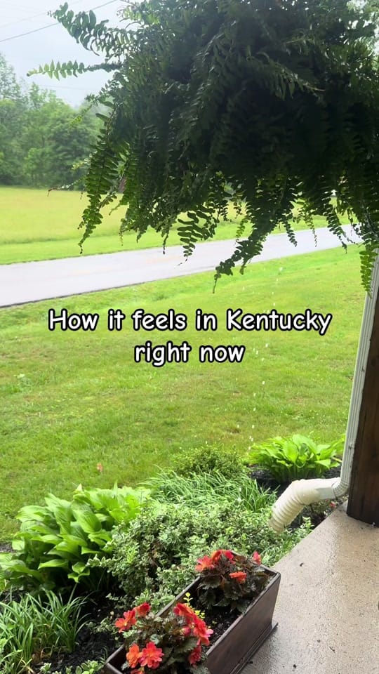 Post 7 by Samantha on TikTok (video)