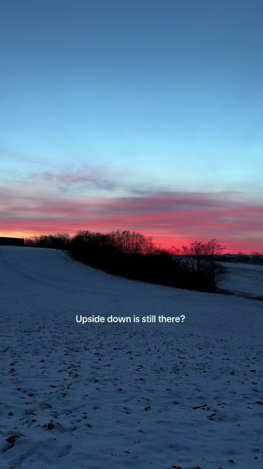 Post 7 by Swiftie’s diary on TikTok (video)