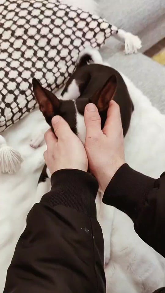 Post 2 by vova 🏳️‍🌈 on TikTok (video)