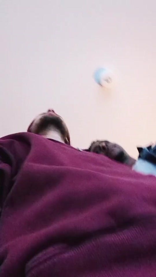 Post 6 by vova 🏳️‍🌈 on TikTok (video)