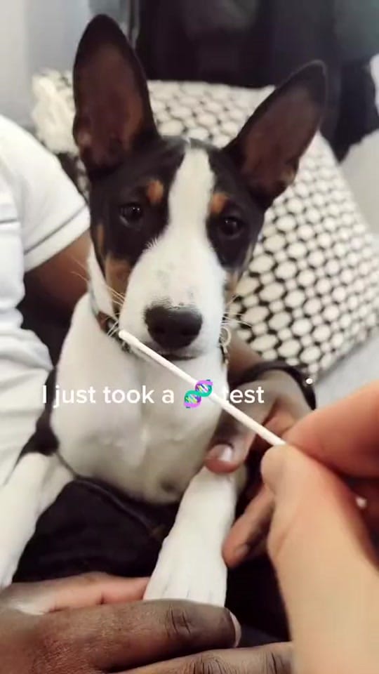 Post 1 by vova 🏳️‍🌈 on TikTok (video)