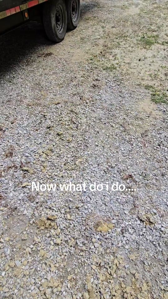 Post 10 by BeeJaysBeforeBreakfast on TikTok (video)
