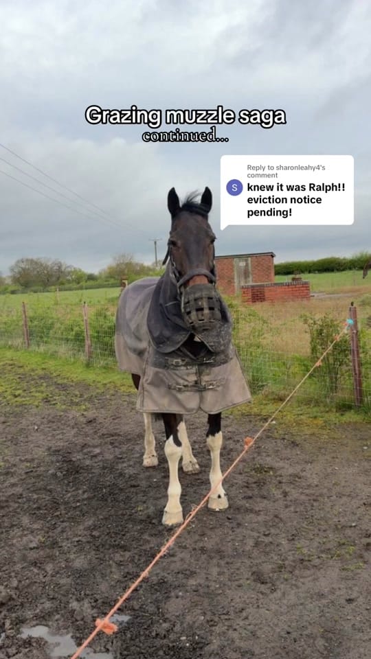 Post 5 by Sarah Cairns on TikTok (video)