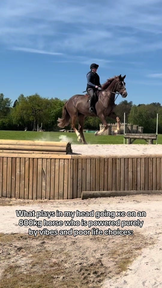 Post 1 by Sarah Cairns on TikTok (video)