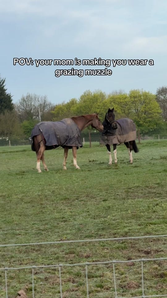 Post 9 by Sarah Cairns on TikTok (video)