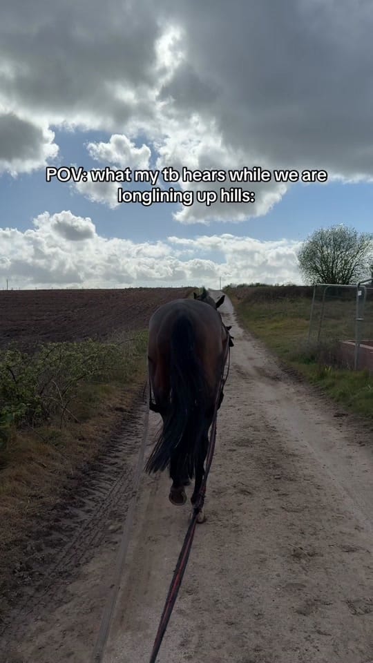Post 7 by Sarah Cairns on TikTok (video)