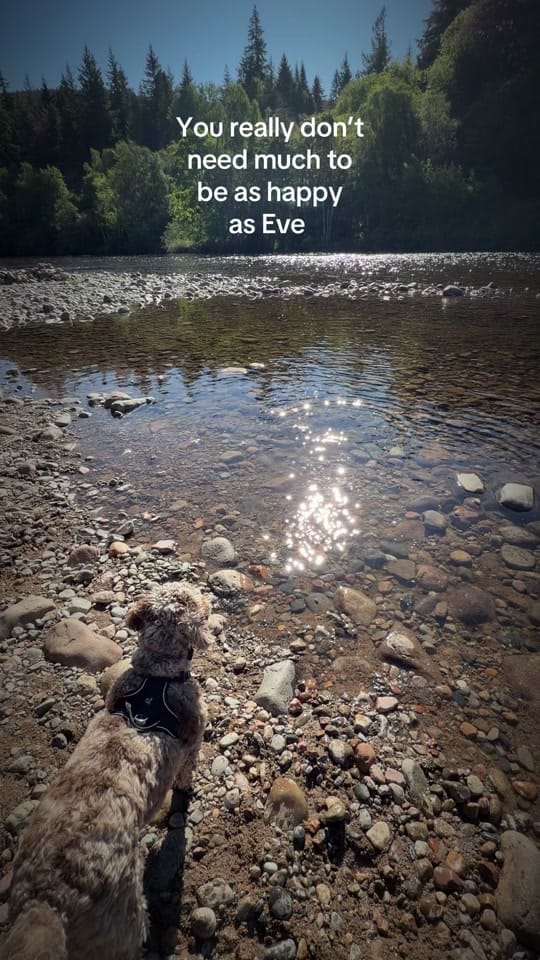 Post 3 by eves.adventures.scotland on TikTok (video)
