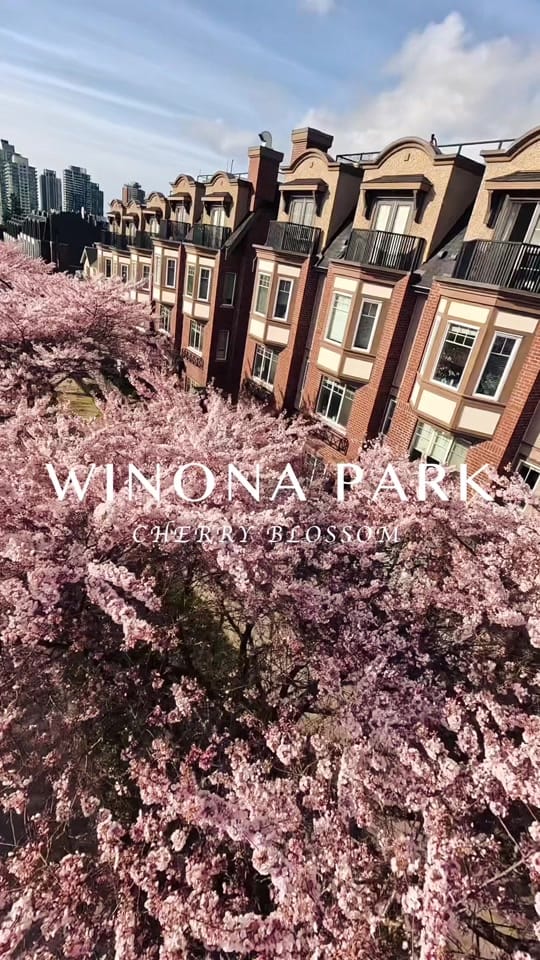 Post 6 by David Kvocak on TikTok (video)