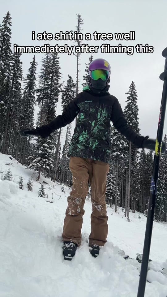 Post 9 by nothingburger on TikTok (video)