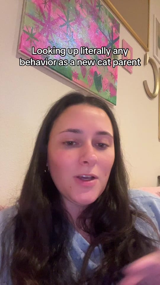Post 10 by Claire Calabro on TikTok (video)