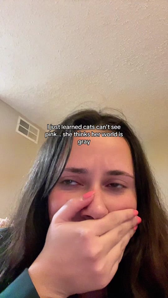 Post 9 by Claire Calabro on TikTok (video)