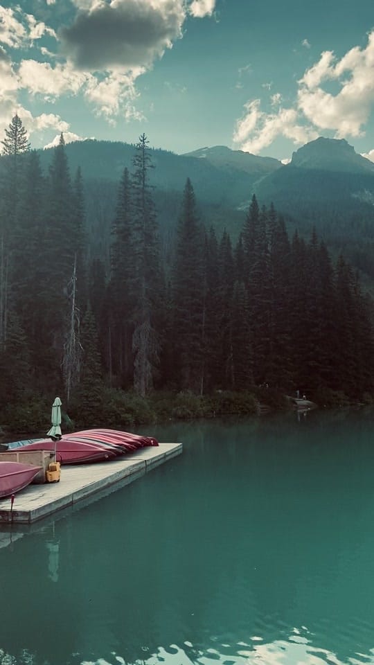 Post 10 by sacred.wildheart on TikTok (video)