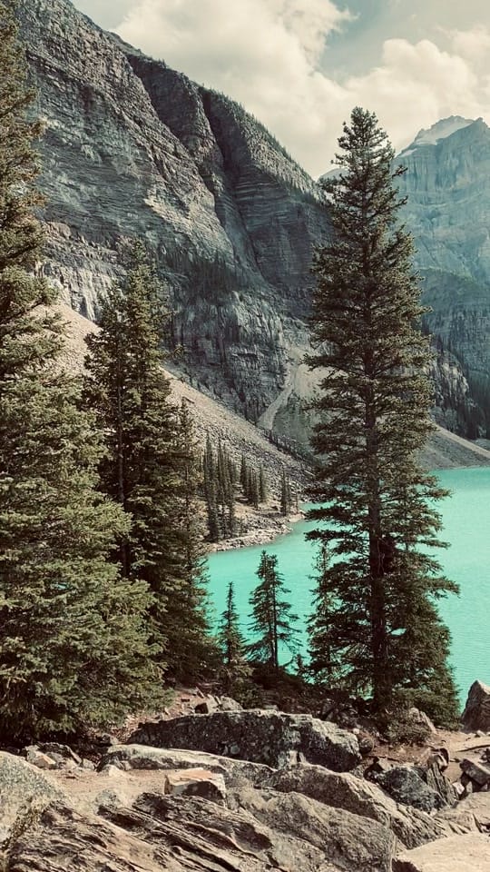 Post 9 by sacred.wildheart on TikTok (video)
