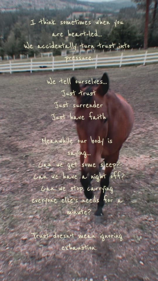 Post 3 by sacred.wildheart on TikTok (video)