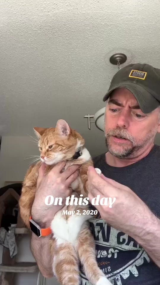 Post 1 by David1973 on TikTok (video)