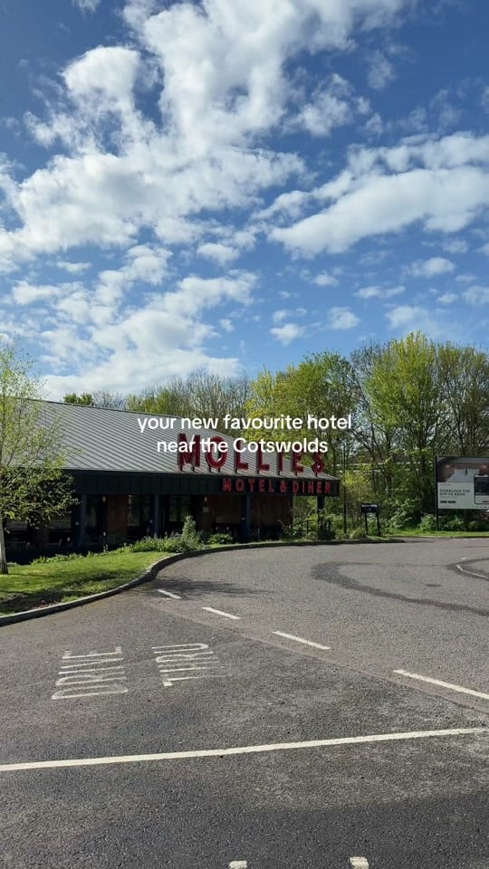 Post 9 by Mollie’s Motels on TikTok (video)