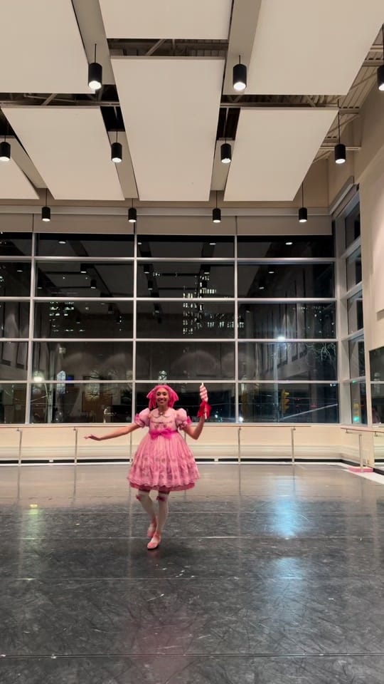 Post 5 by erica_lall on TikTok (video)