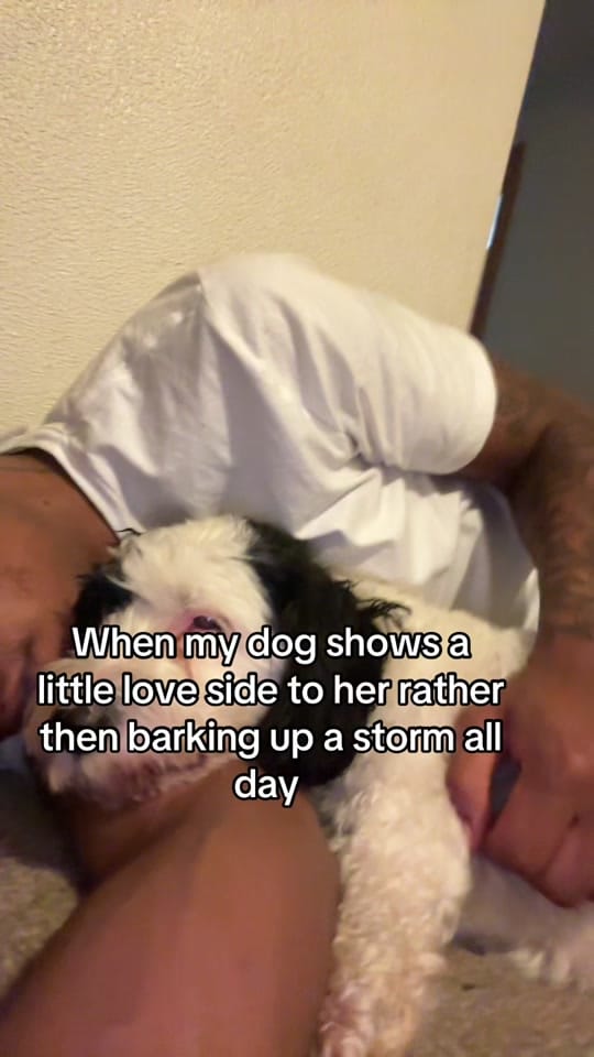 Post 4 by Romero McCree on TikTok (video)