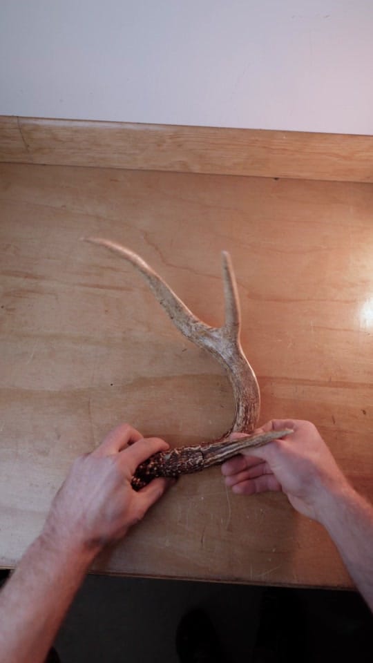 Post 10 by Honest Hands Ring Co on TikTok (video)