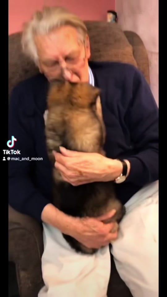 Post 8 by Mac & Moon on TikTok (video)