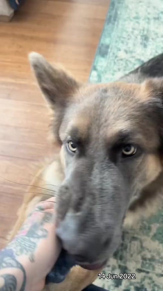 Post 2 by Mac & Moon on TikTok (video)