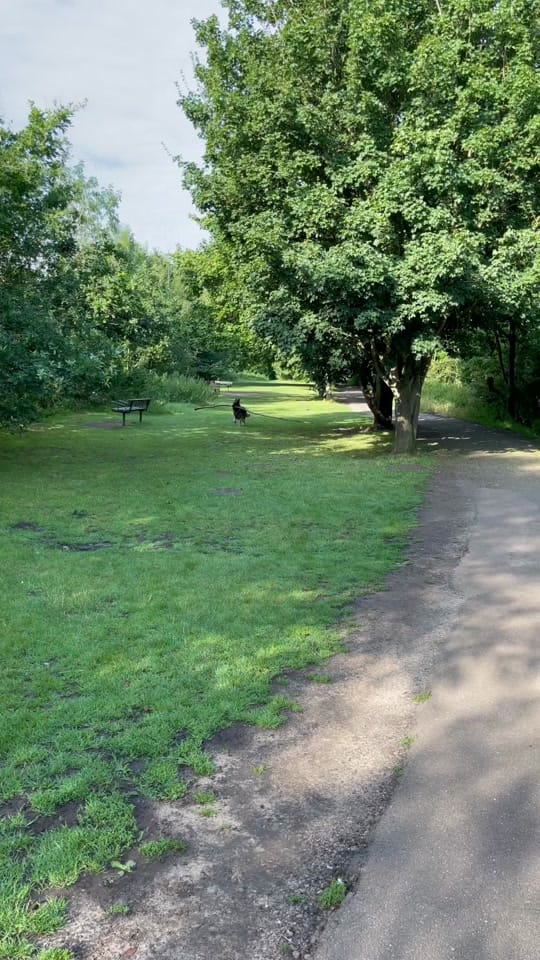 Post 10 by Mac & Moon on TikTok (video)