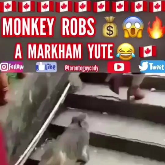 Post 3 by Toronto Guy Cody’s Archive 🟰 on TikTok (video)