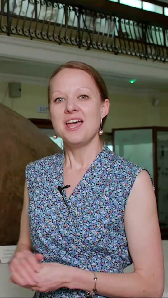Post 9 by Horniman Museum and Gardens on TikTok (video)