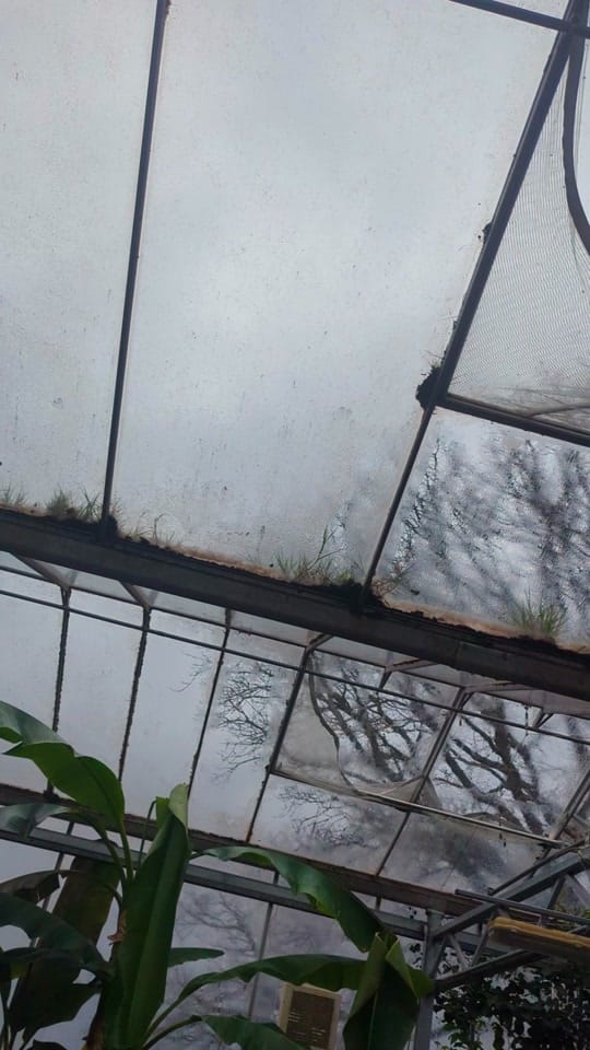 Post 5 by Horniman Museum and Gardens on TikTok (video)
